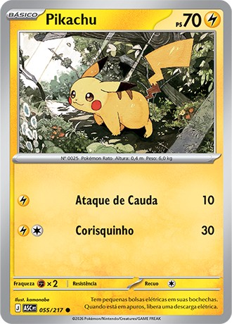 55 / 217 - Pikachu