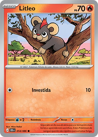 14 / 86 - Litleo