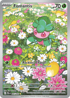 085 / 84 - Fomantis