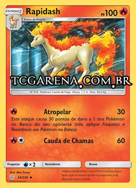 Carta Rapidash (24 / 236)