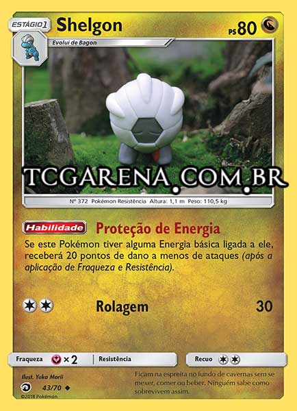 Carta Shelgon (43 / 70)