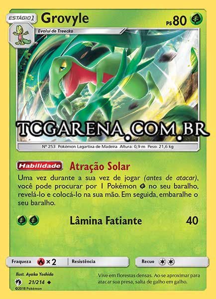 Carta Grovyle (21 / 214)