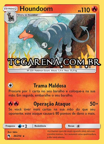 Carta Houndoom (46 / 214)