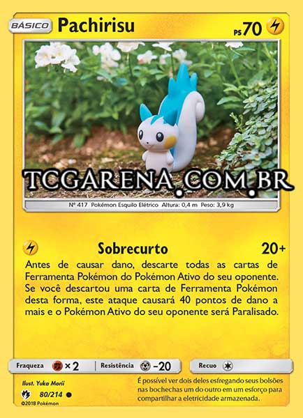 Carta Pachirisu (80 / 214)