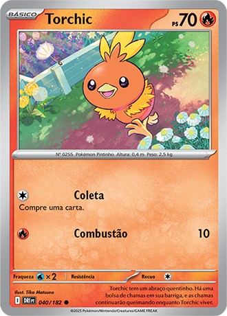 40 / 182 - Torchic