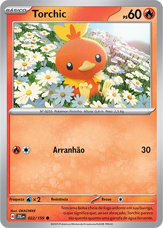 22 / 159 - Torchic
