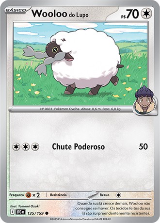 135 / 159 - Hop's Wooloo